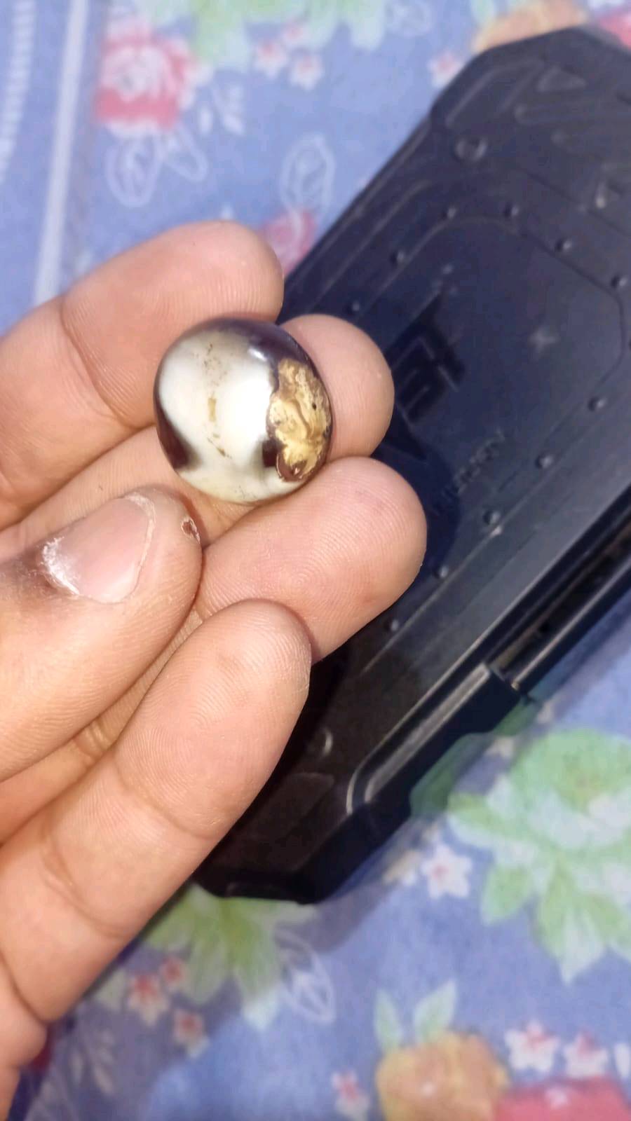 بصره زبير