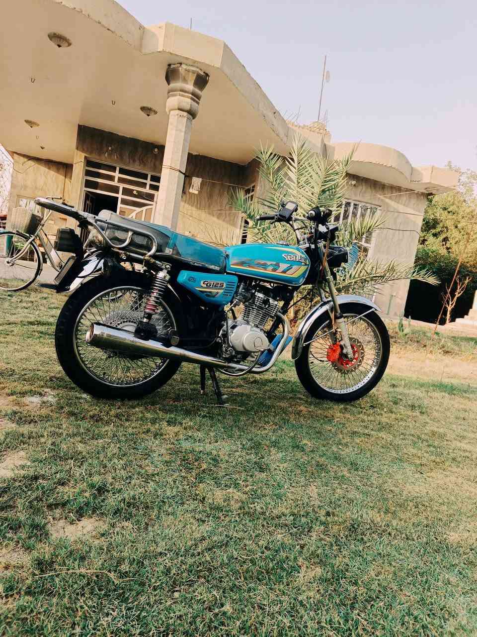 سونك • ٢٠٢٤ • اوراق