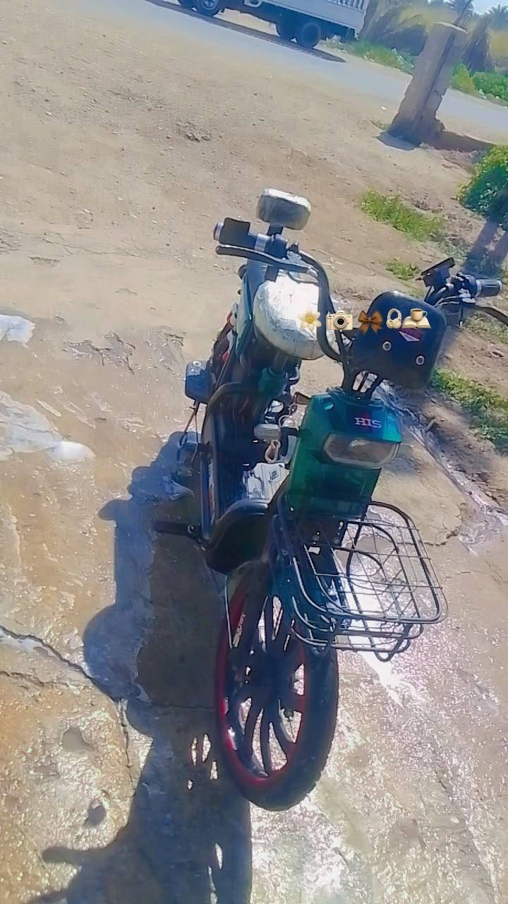 دراجة شحن • جديدة • كهربائية