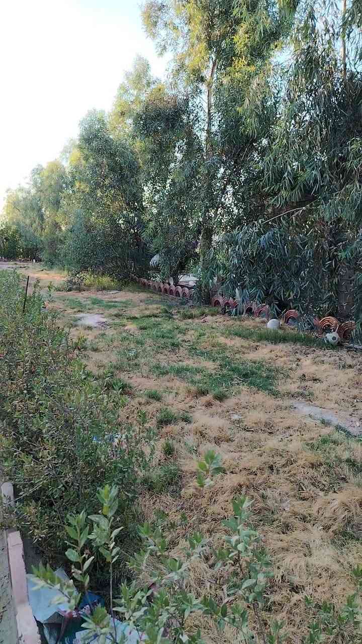 السلام عليكم  بيت لل بيع موقعه جسر الفرنسي 
اكثر من نص دونم ١٥٠٠م قبل جسر الفرنسي على يسار يم ملعب تارتار  مقابل الولدايه البيت بناء جديد كامل من كل النواحي كهرباء ماي البيت  ١٩٠م  السعر ١٥٠ وبيه مجال على شارع العام 
(ملاحظه البيت عادي للمراوس لكن فقط داخل العبيدي) 
 صاحب البيت  الحاج ابو زياد الرديني   
رقم صاحب البيت ***********
