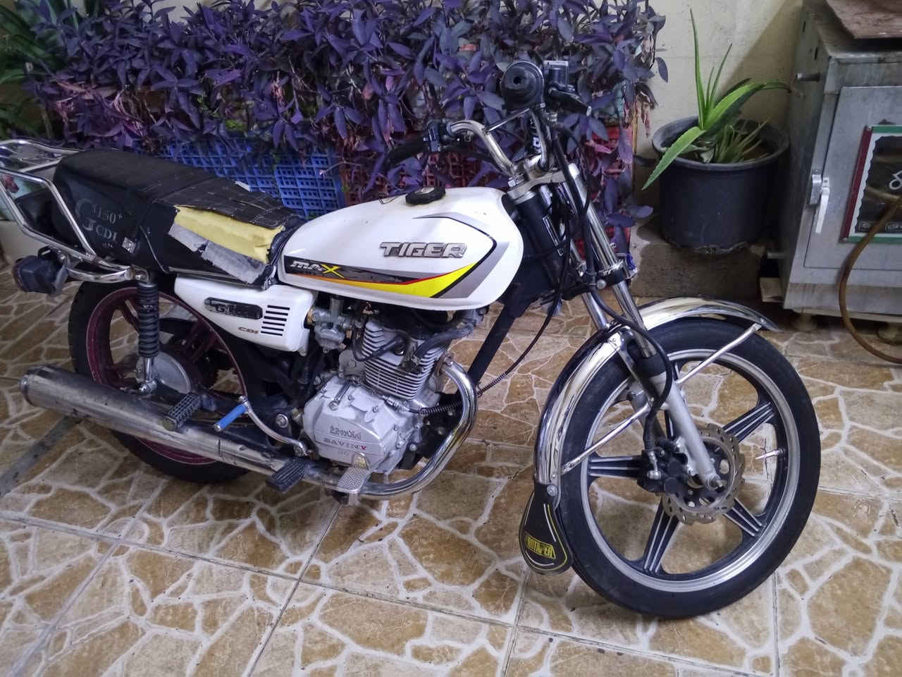سابين • خمسه قير