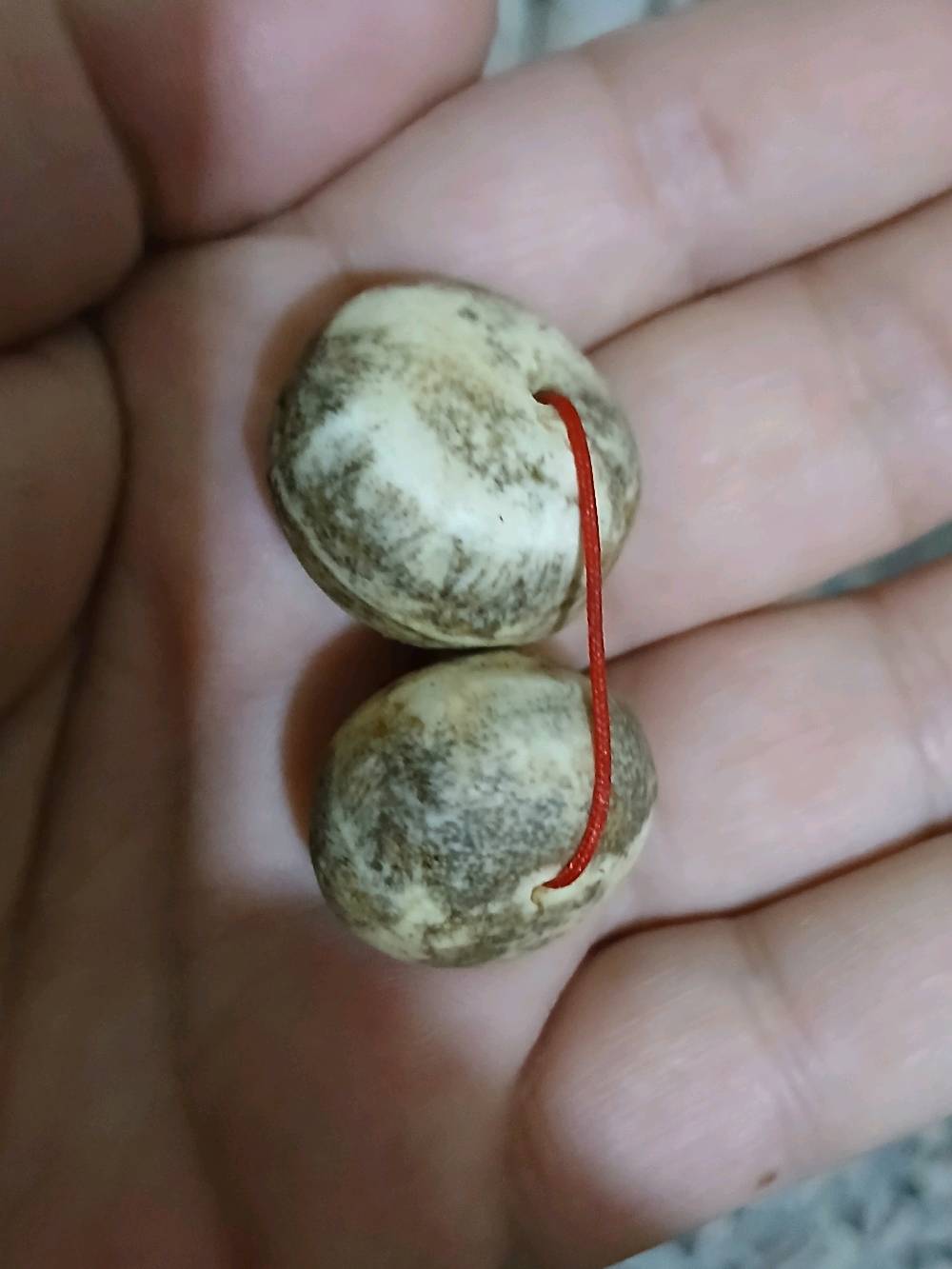 عطف مروكب