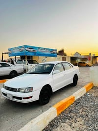 كورلا فرخ بطه • ٢٠٢٨ • رقم نينوى