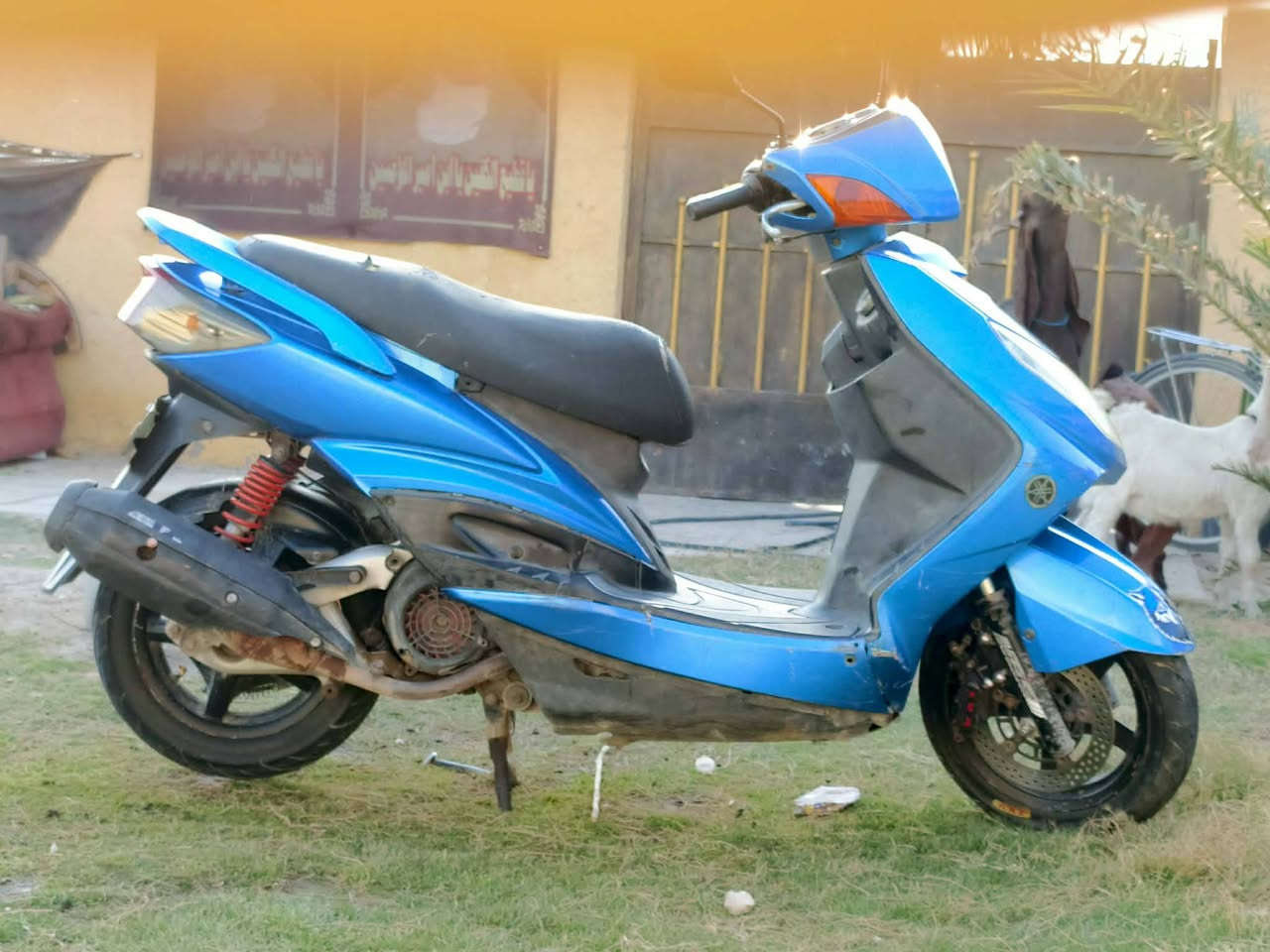 سلام عليكم سكنس فحل    البيع الدراجه نضيفه الكهربايات كامله سلف هندر واشاير يمنه ويسره عالي وناصي الدراجه كفرات بلاديه الدراجه بحاله الوكاله الدراجه مال جناي الدراجه شلعه ومعدل التراي وين ما كان الدراجه بصمه العنوان بغداد السعر 600 وبيهه مجال الطيبين التصال الرقم ***********
