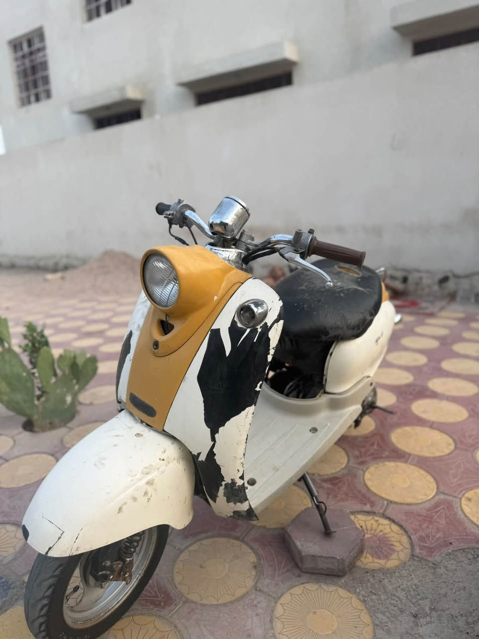 مصريه • نضيفه • جاهزه