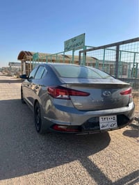 لنتر ٢٠١٩ • وارد أمريكي • رقم اربيل