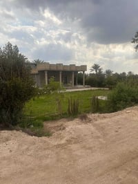 دونم ونص • ملك صرف • بيت حديث