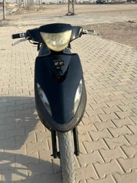 ماكس • القرنه الشرش • بيه مجال
