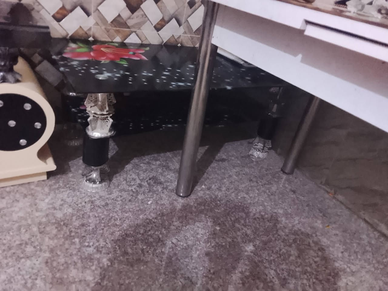 سجاد