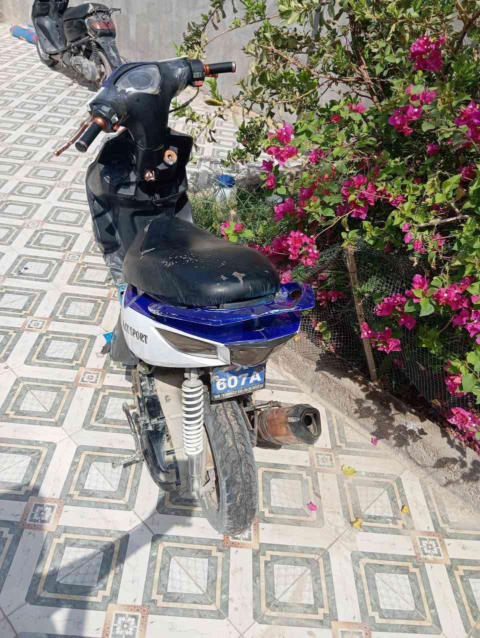 ماكس مضلع • ٥٥ • دخان