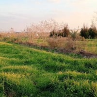 دونم • مقابل الخاجية • سند ٢٥