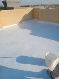 صباغ متفرغ • ترميمات رطوبه • عزل الاسطح