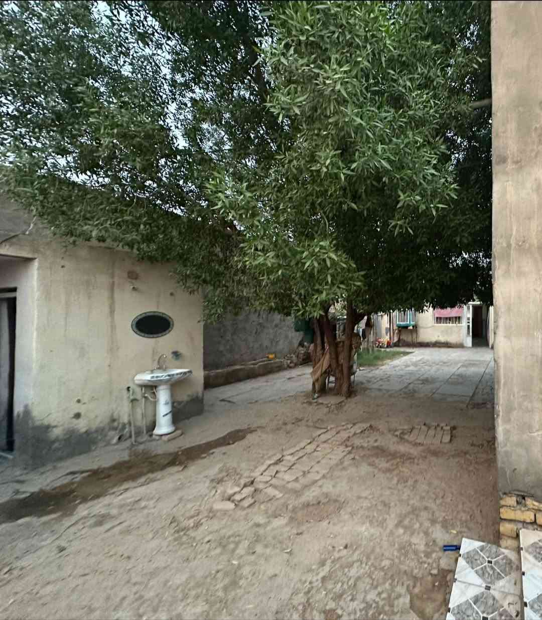 بانزله سيد يونس • بيت • ٣٥٠م