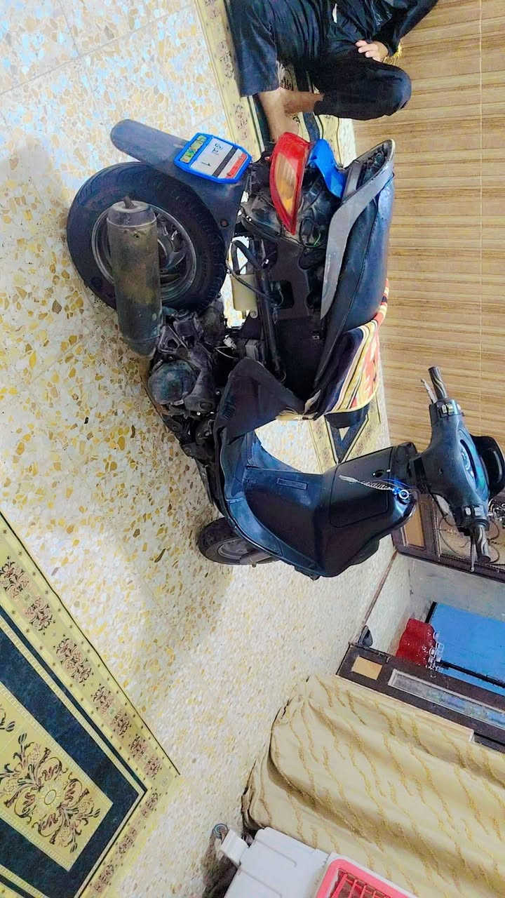 فراشه • فحل • طافية
