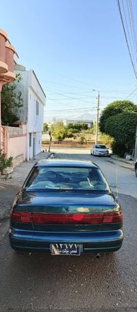 سيفيا • ١٩٩٣ • قەڵادزێ