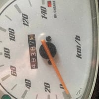 ببغاء • معدل • حي الجهاد