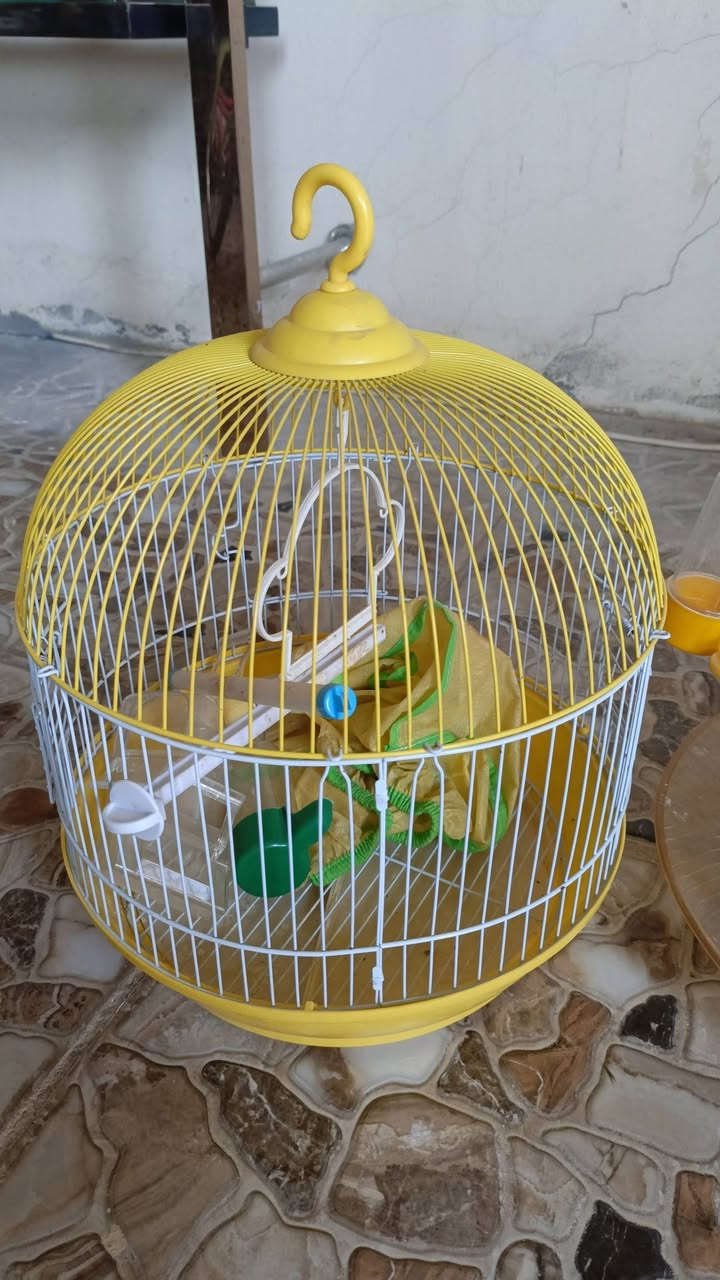 قفصين للبيع ***********
