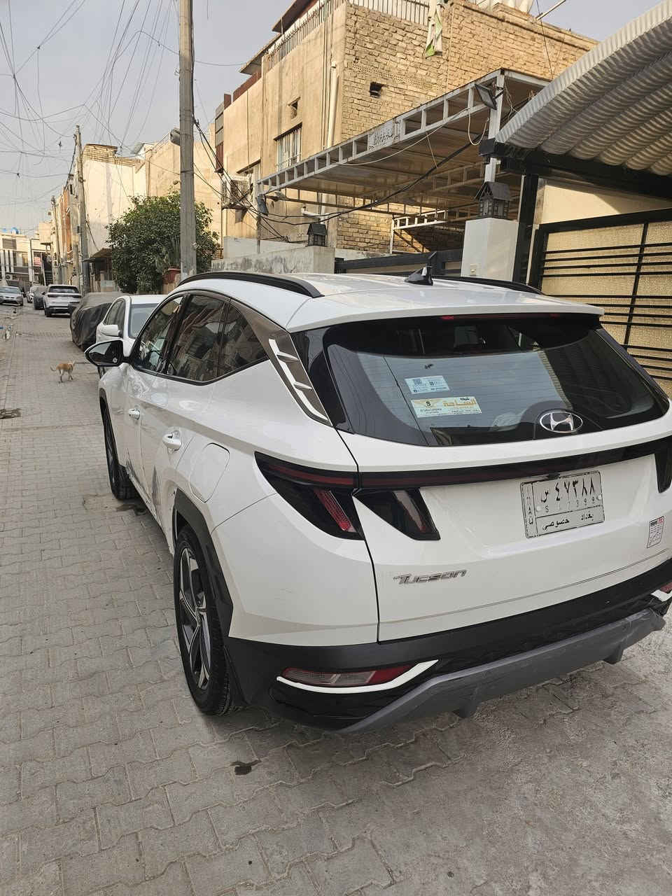 توسان خليجي • ٢٠٢٣ • ٨١٠٠٠
