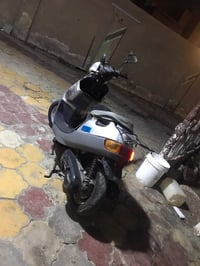 بطة • مكفول • نضيفه