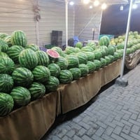 سقيفة جينكو • السماوة • واجهه ١٠م