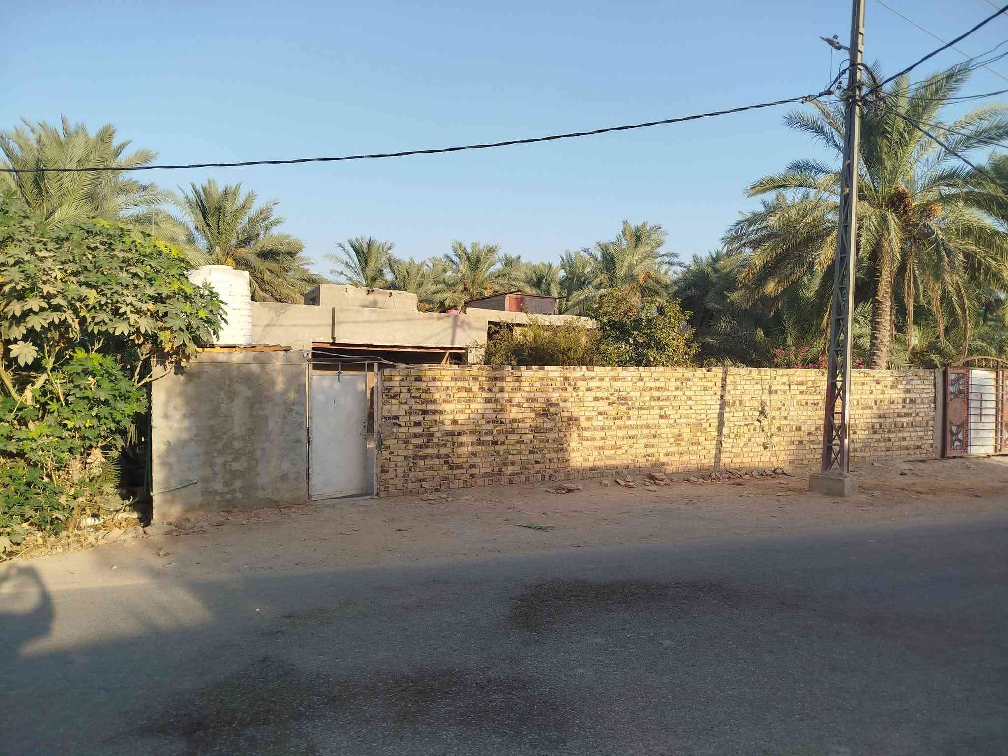 سلام عليكم ارض زراعيه للبيع في منطقه القزوينيه تبعد عن الكوفه 10 كيلو سبع دوانين تحتوي على ثلاث بيوت جاهزات للسكن موقعها على شط الفرات صنف العرض طابو زراعي سنه 25 الدونم 50 وبي مجال للشراي تحتوي على على 150 نخل بانواعه اتصال على الرقم ***********
‏‪***********‬‏
