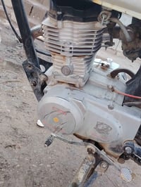موديل 19