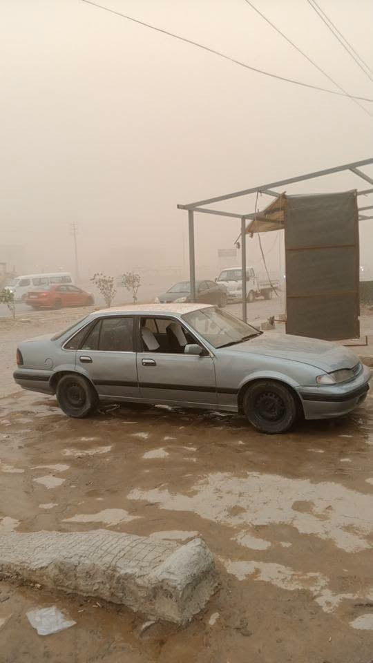 برنس • مصبوغه • تكريت
