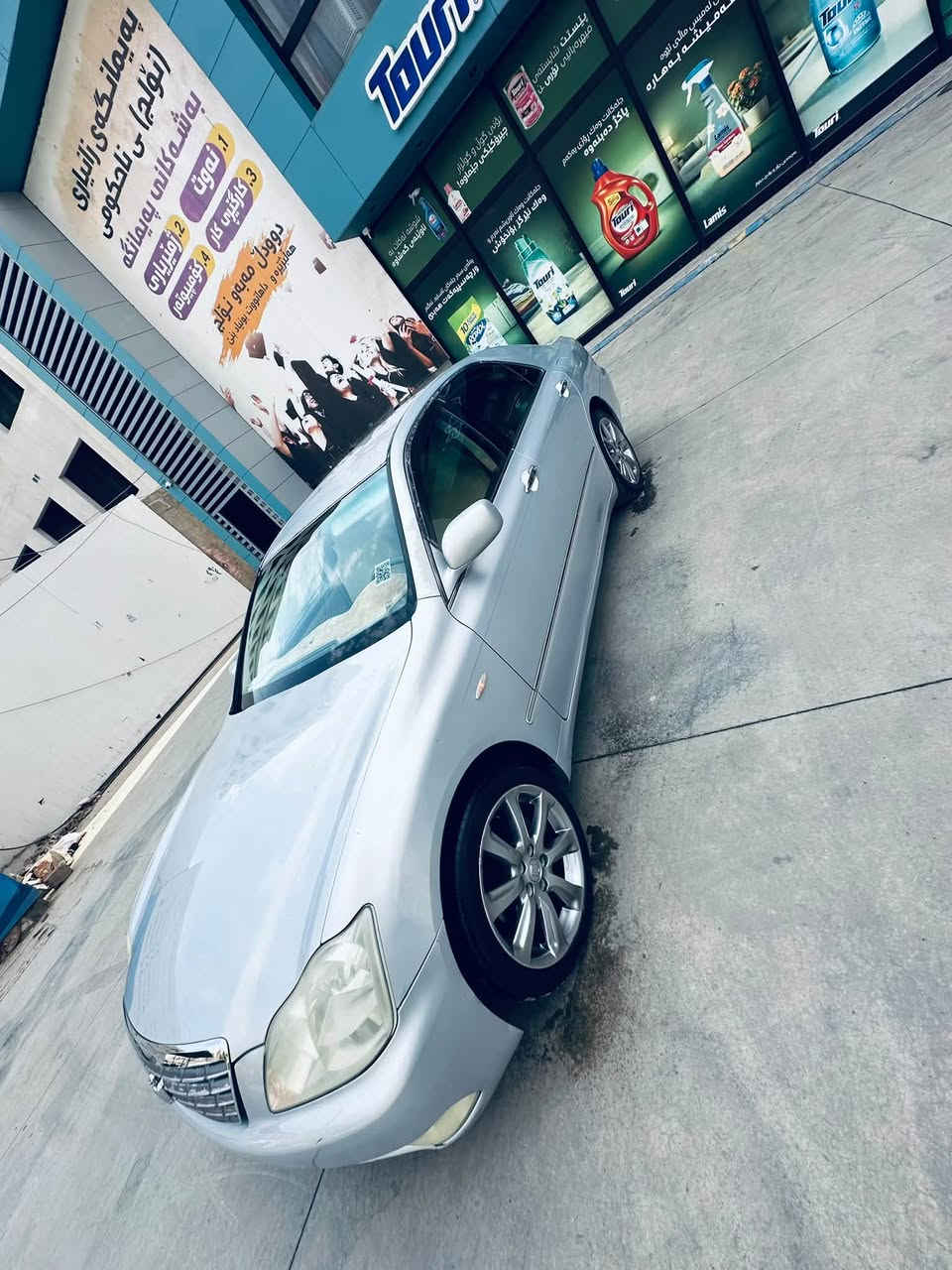 شاهین • ٢٠٠٧ • حالة زينة