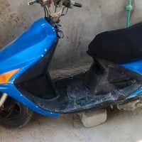 فراشة • فحل