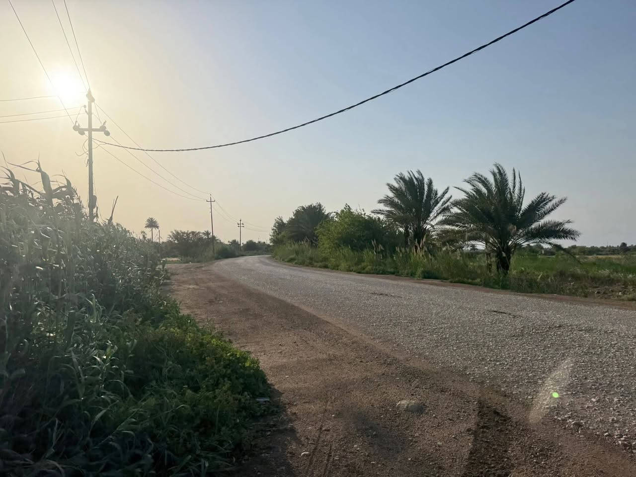 كاع طابو زراعي سند 25 بسمي شرط التحويل)(في واسط - قضاء - الزبيدية )
تبعد عن مركز المدينة -وعن( سيطرة السدة تقريباً ٤٠٠ م) محاديه لنهر دجله 

(( طريق سدة الجدول )) 

مساحة ١٨ دونم - وجه 28 م
 (بيهة خمسه ٥ بيوت )
ملاحضة؟ . البيوت تباع من ضمن الدوانم وذا تجزئه لا حسب التفاق))

(( طريق رسمي - حصة مائية + ماطور - كهرباء
تبليط - مستصلحة مزروعة - (( تحويل مباشر ))
((( محولة كهرباء خاصة في الكاع )))

(( تباع كاملة أو تجزئة دوانم ))
(( كما موضح في الفيديو ))

للاستفسار - *********** )) 
((واسط - قضاء - الزبيدية  ))

نص مكتوب في الصور:
- realme Shot on realme 9i ١٢:٢٠٠٩ -٠٤.٢٠٢٦