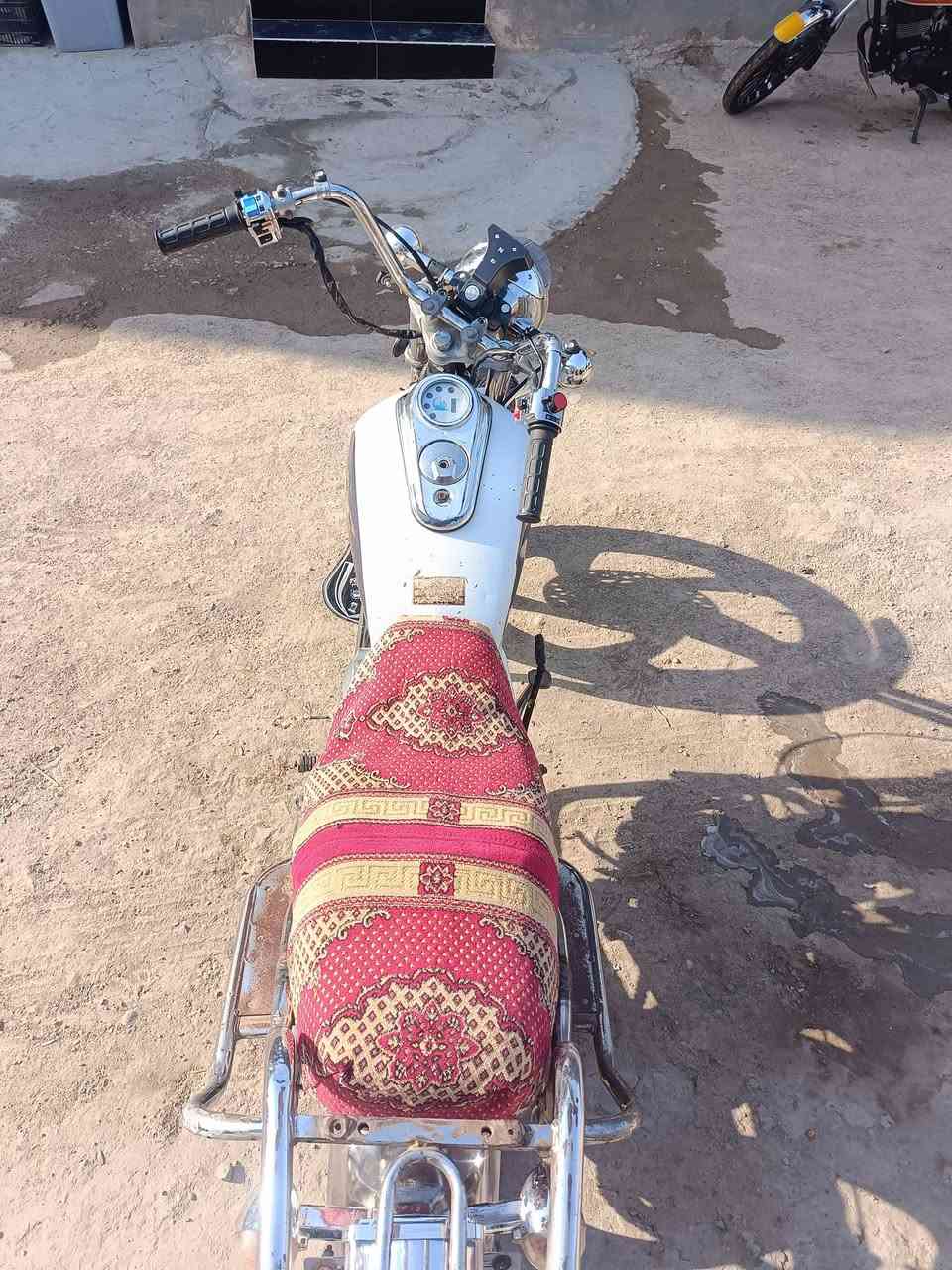 جني • ٢٠١٩ • اوراق كامله