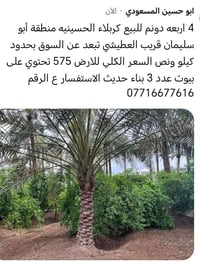 ٤ دونم • ٣ بيوت • أبو سليمان
