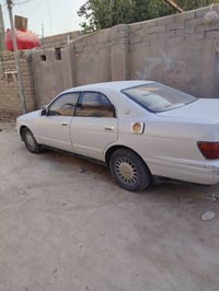 مكفولة • ماكو ضربة • ماكو صبغ