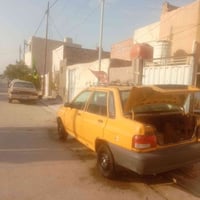 النجف • بدون راعي • سايبة