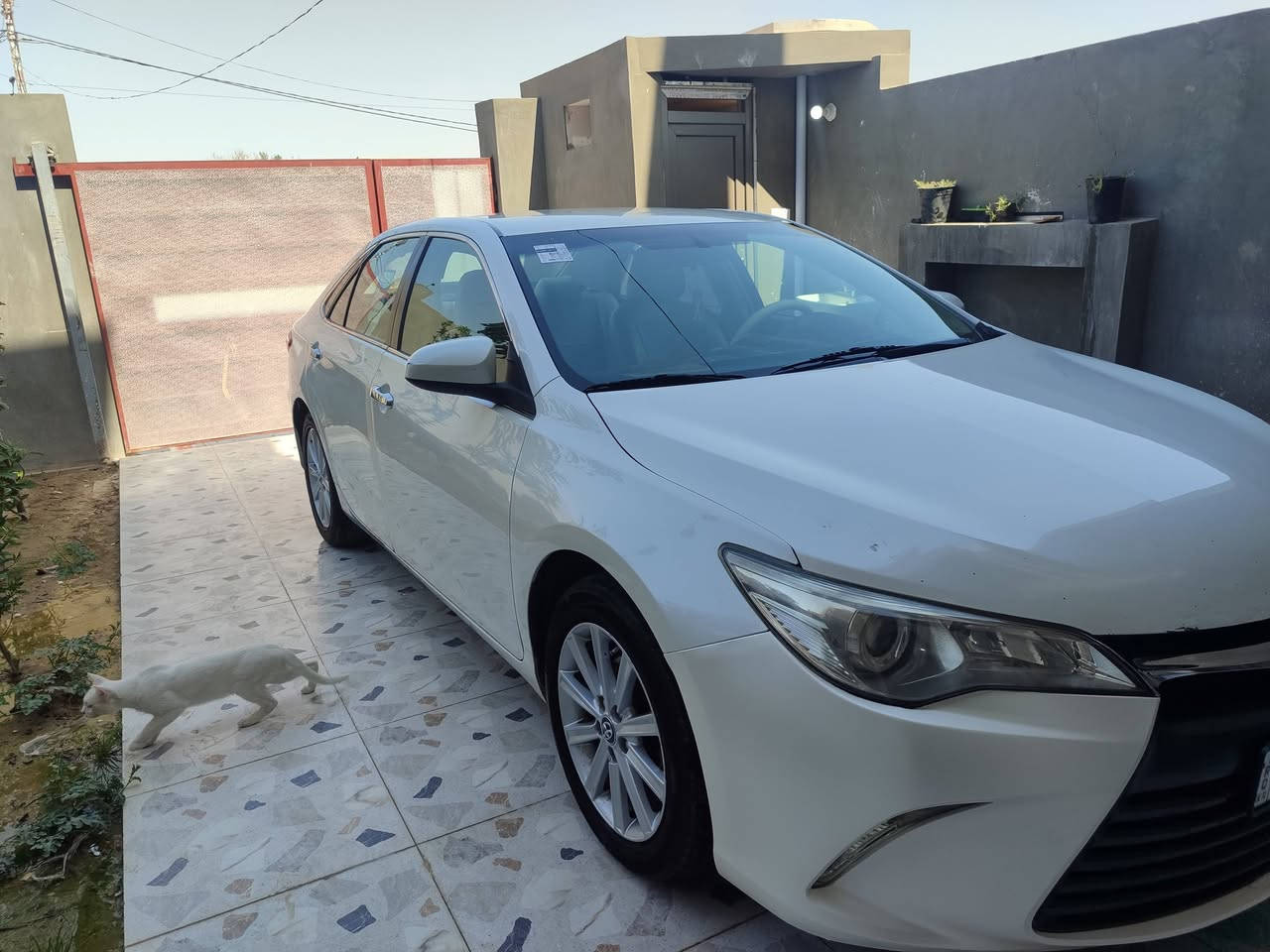 كامري البيع موديل 16 خليجي مكفوله من صبغ سعر150بيهامجال ***********
