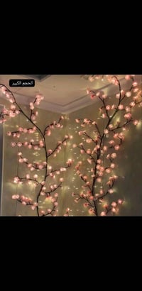 نور جداري • شجرة ورد • ٣م