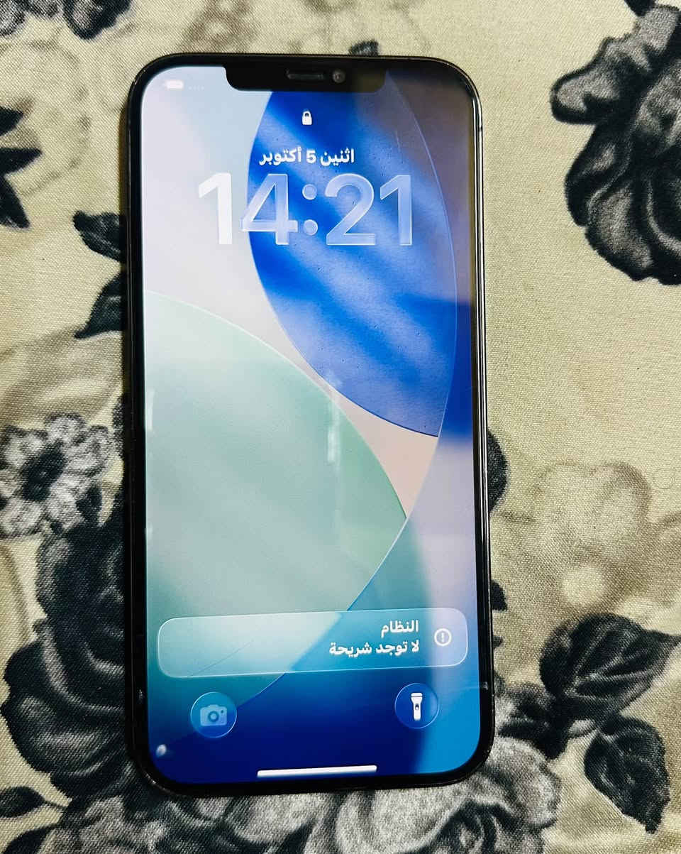 آيفون ١٢ برو ماكس • ٢٥٦ • بطارية مبدلة