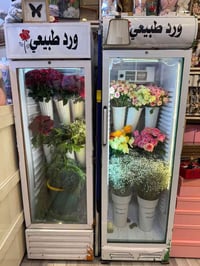 ٢ براد • شغال • شارع السناتر