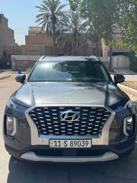 باليسيد • ٢٠٢١ • باب خلفي