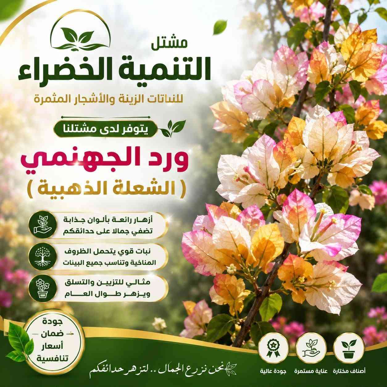 يتوفر لدينا جهنمي إيطالي متشلق الشعلة الذهبية 
للحجز والاستفسار مراسلة الصفحه أو الواتساب يوجد توصيل لجميع محافظات العراق 
***********
