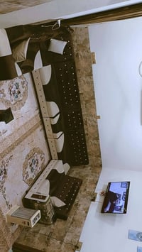 تخم ١٠ مقاعد • جوزي • زيتوني