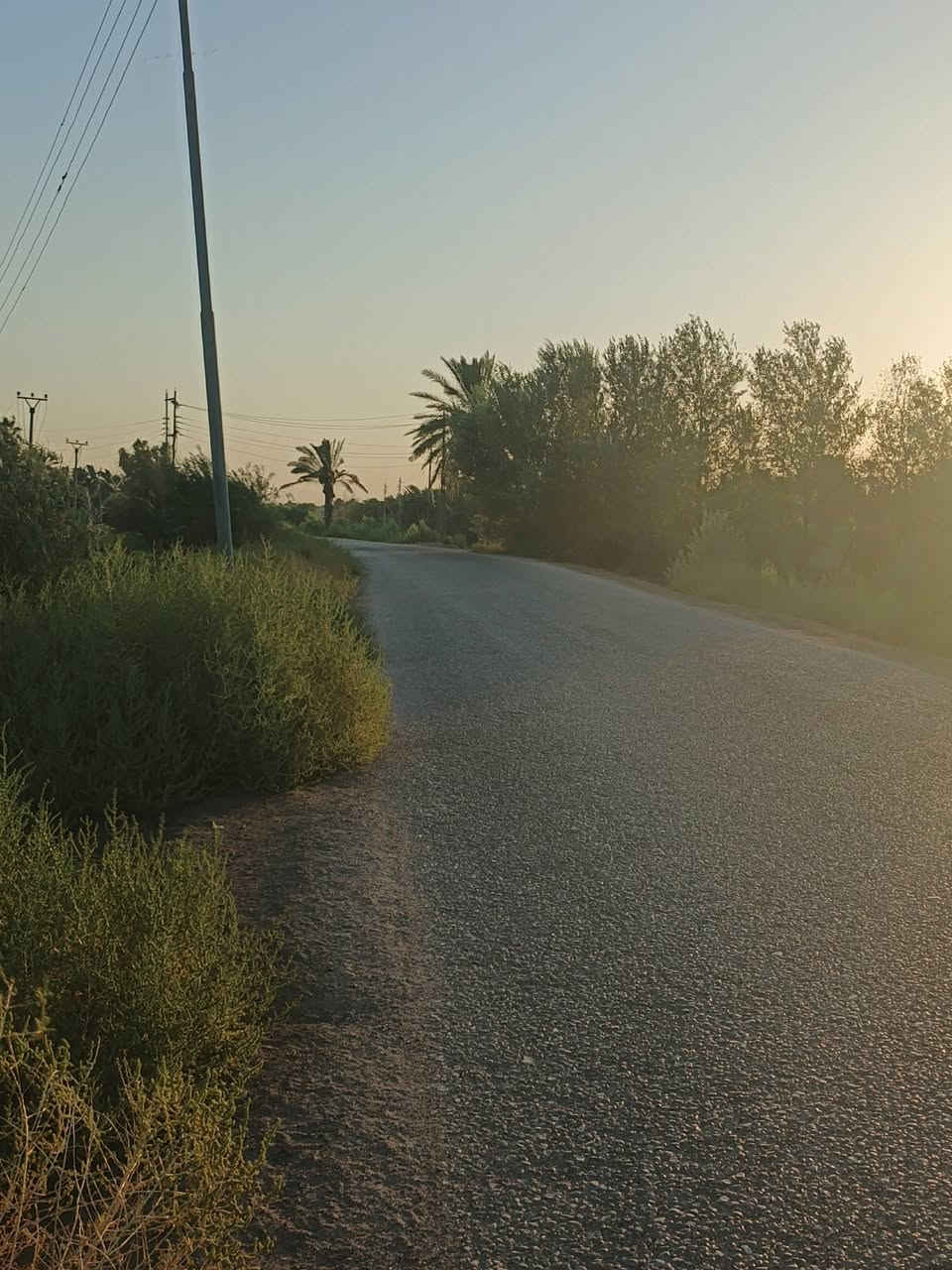 الكتابة
🌴 للبيع أرض طابو صرف – 3 دونمات 🌳
📐 المساحة: 3 دونمات
📜 طابو صرف
🌴 تحتوي على نخيل وأشجار تين مثمر
📍 الموقع: منطقة الدورة – قضاء السنية
🚗 تبعد عن الشارع العام طريق حلة–ديوانية حوالي 2 كم
💧⚡ متوفر كافة الخدمات
📞 للاستفسار:
***********
***********
📍 للاستفسار أكثر مراجعة مكتب الساقي للعقار – الشارع التجاري
أبو سجاد للعقار
