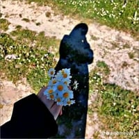 خط حجي • جيب حديث • تبريد وتدفئة