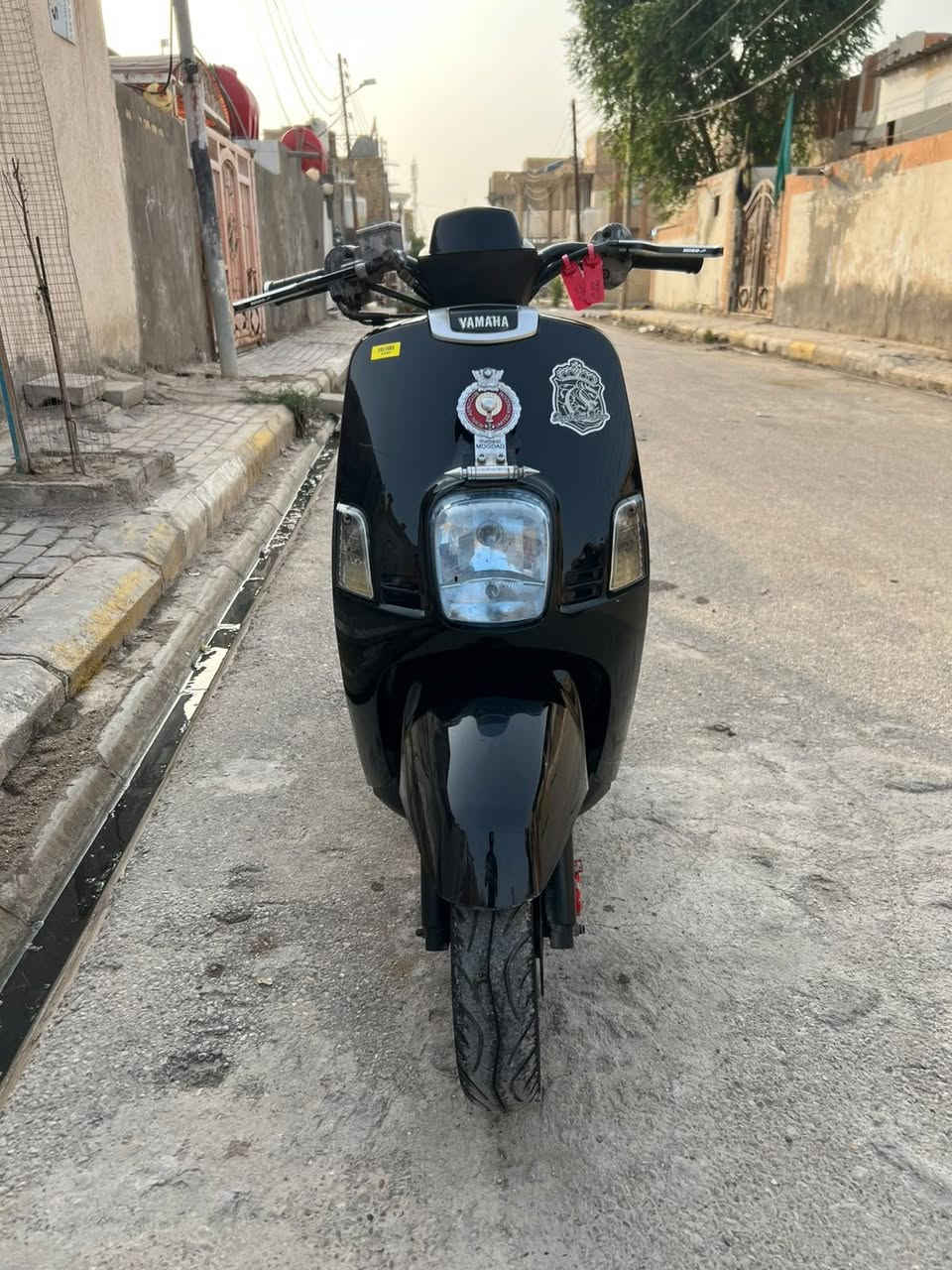 ماكس بوليسي • ياماها • السماوة