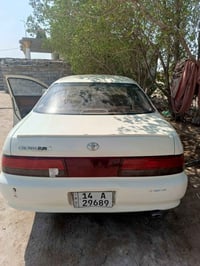 كرسته • البصرة • نضيفه