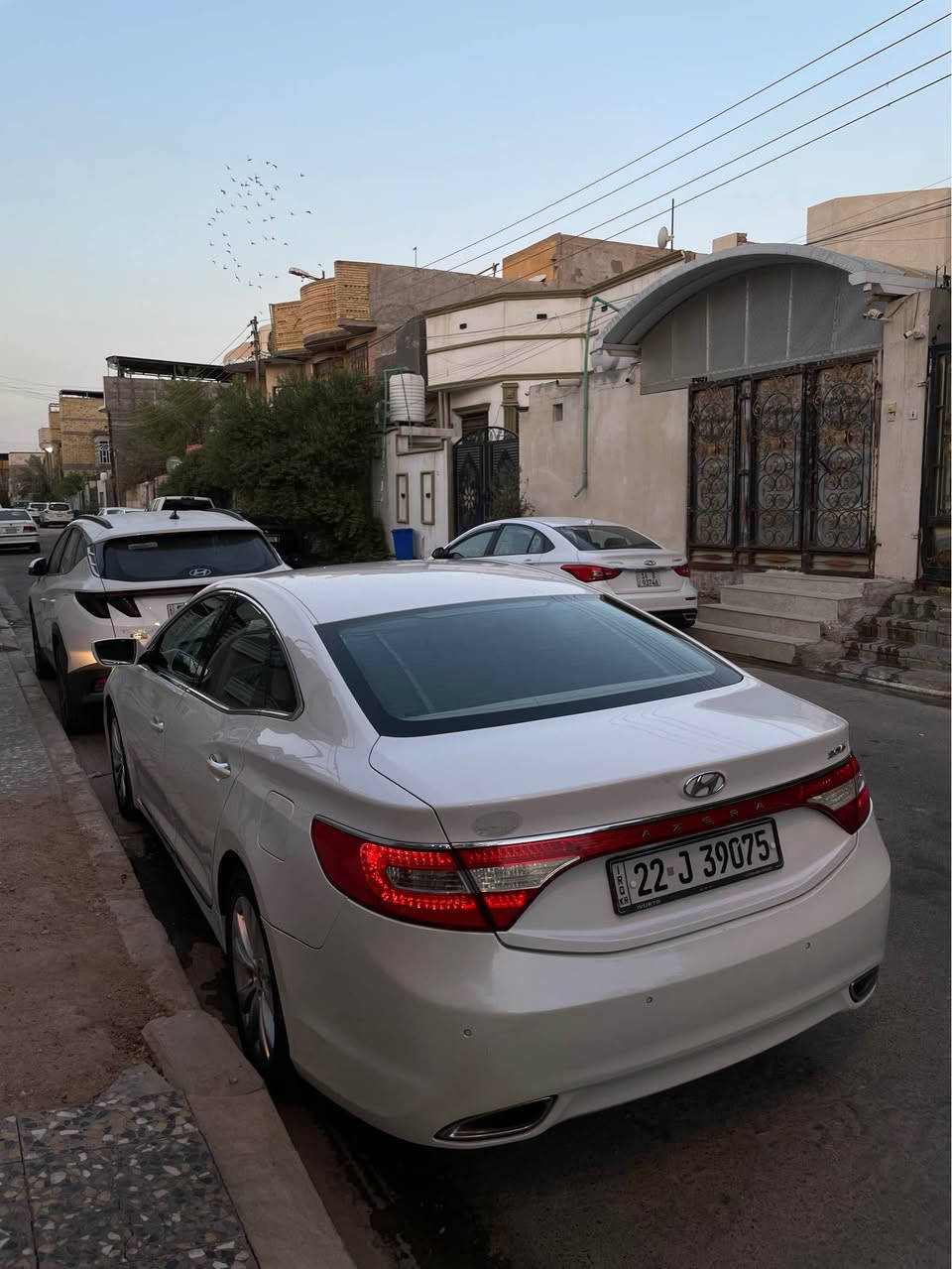 ازيرا خليجي • ٢٠١٥ • رقم اربيل