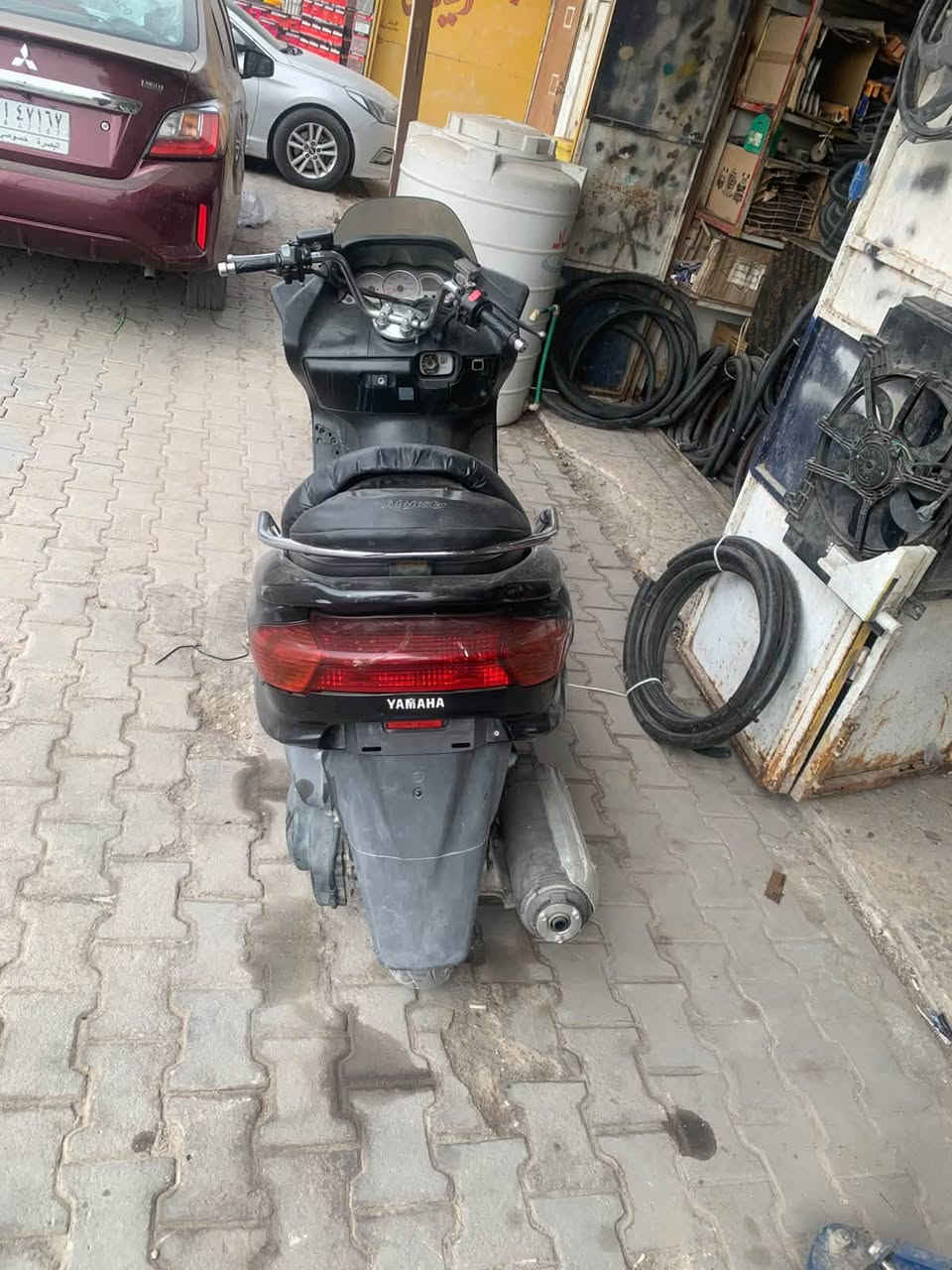 مجسته • بدون اوراق • البصره
