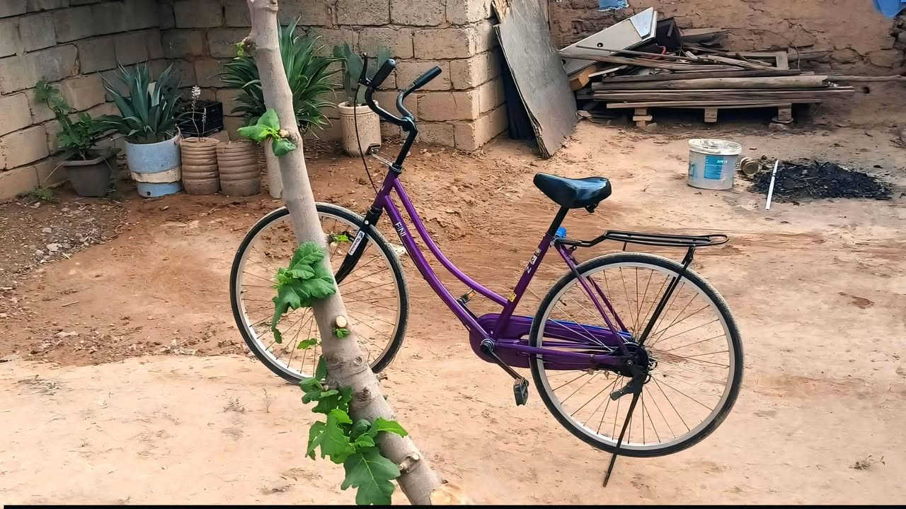 بسكليت • للبيع • ادفع