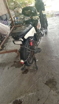 باسكل شحن • بنجر • ١٢٥