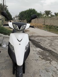 ثعلب • جديده • للبيع